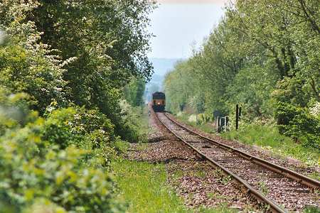 the luxuriant countryside towards Hastings