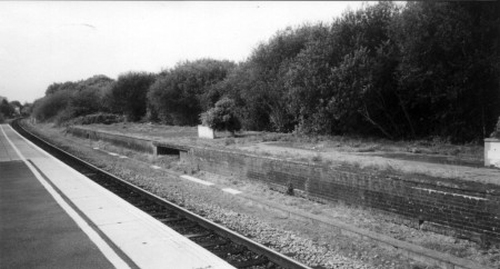 Axminster Engine Shed