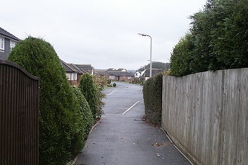 Halwill road name
