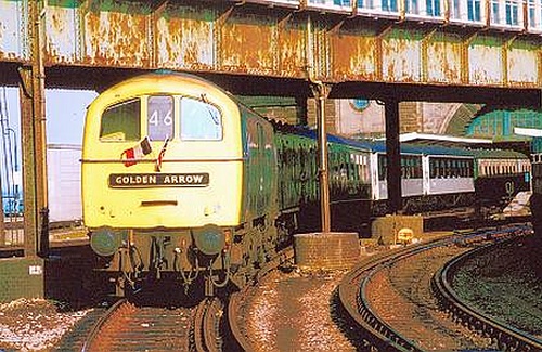 Golden Arrow