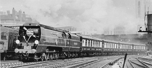 Golden Arrow