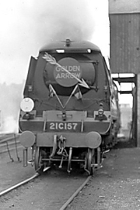 Golden Arrow