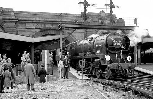 Golden Arrow