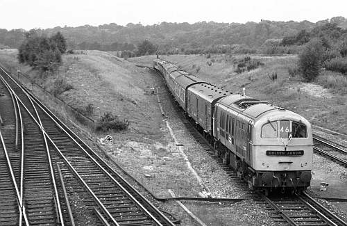 Golden Arrow