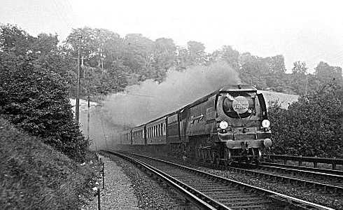 Golden Arrow