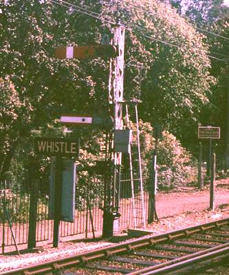 Signal