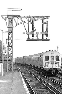 Sutton