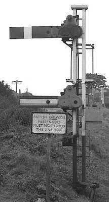 Signal