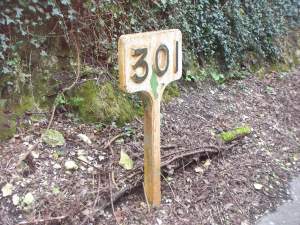 Bridge 301, Shepherds Well